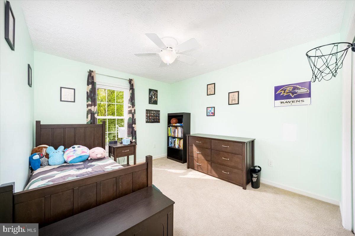 10651 Emmaline Drive photo 39