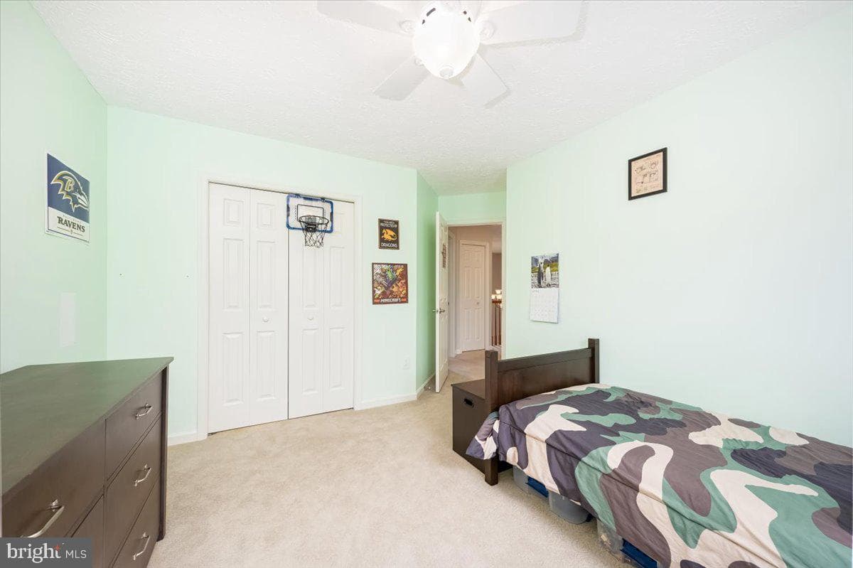 10651 Emmaline Drive photo 40