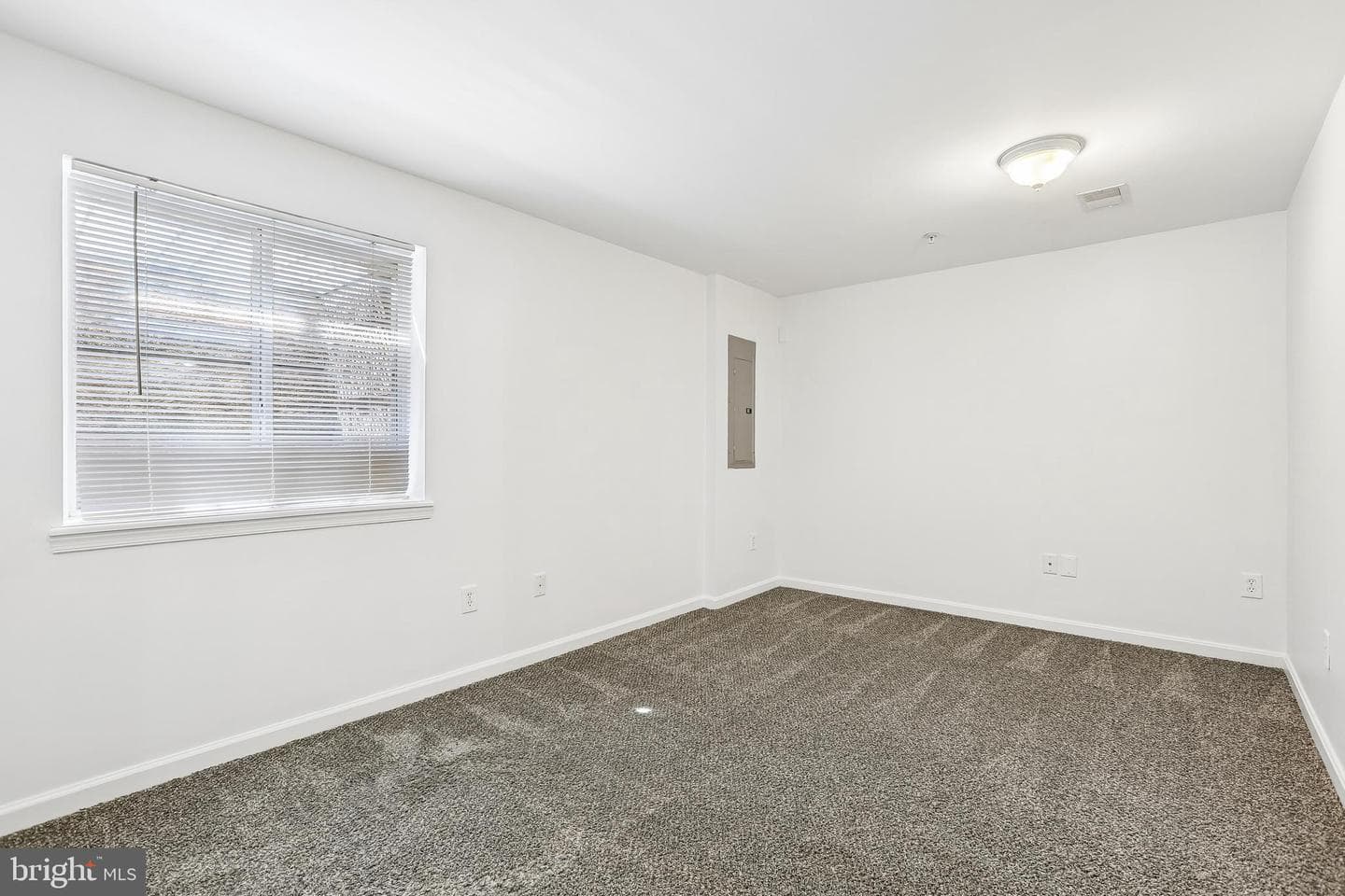 3645 Islington Street photo 34