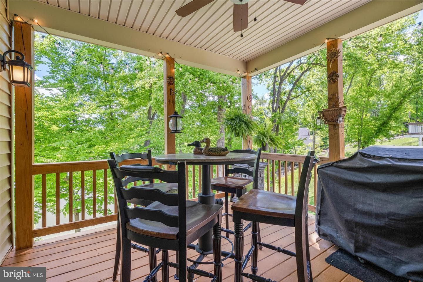 10310 Iliamna Court photo 19