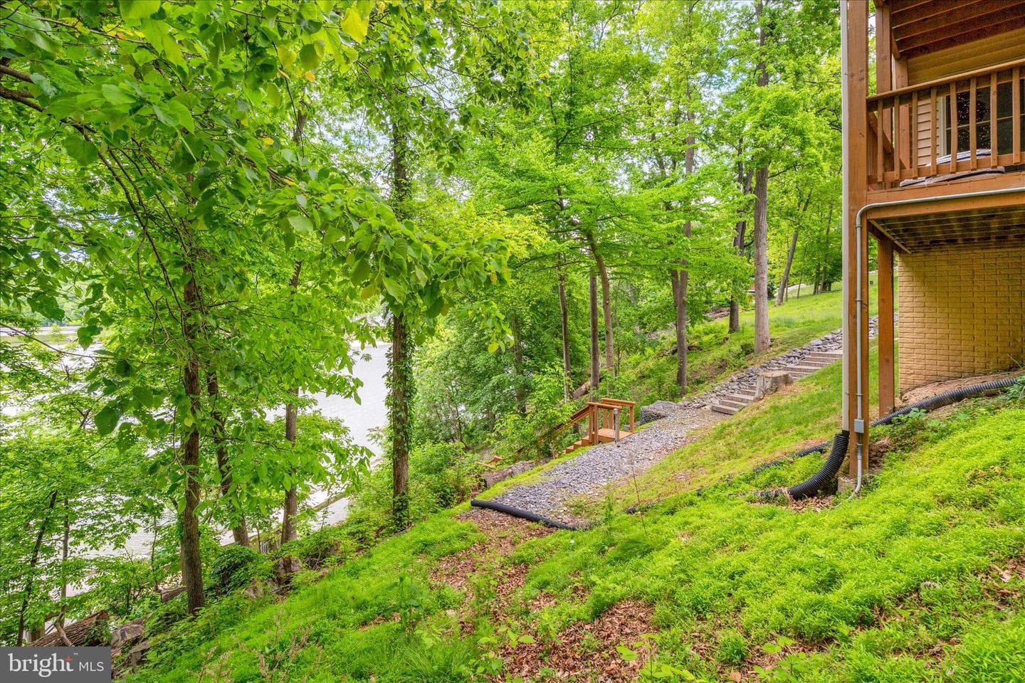 10310 Iliamna Court photo 62
