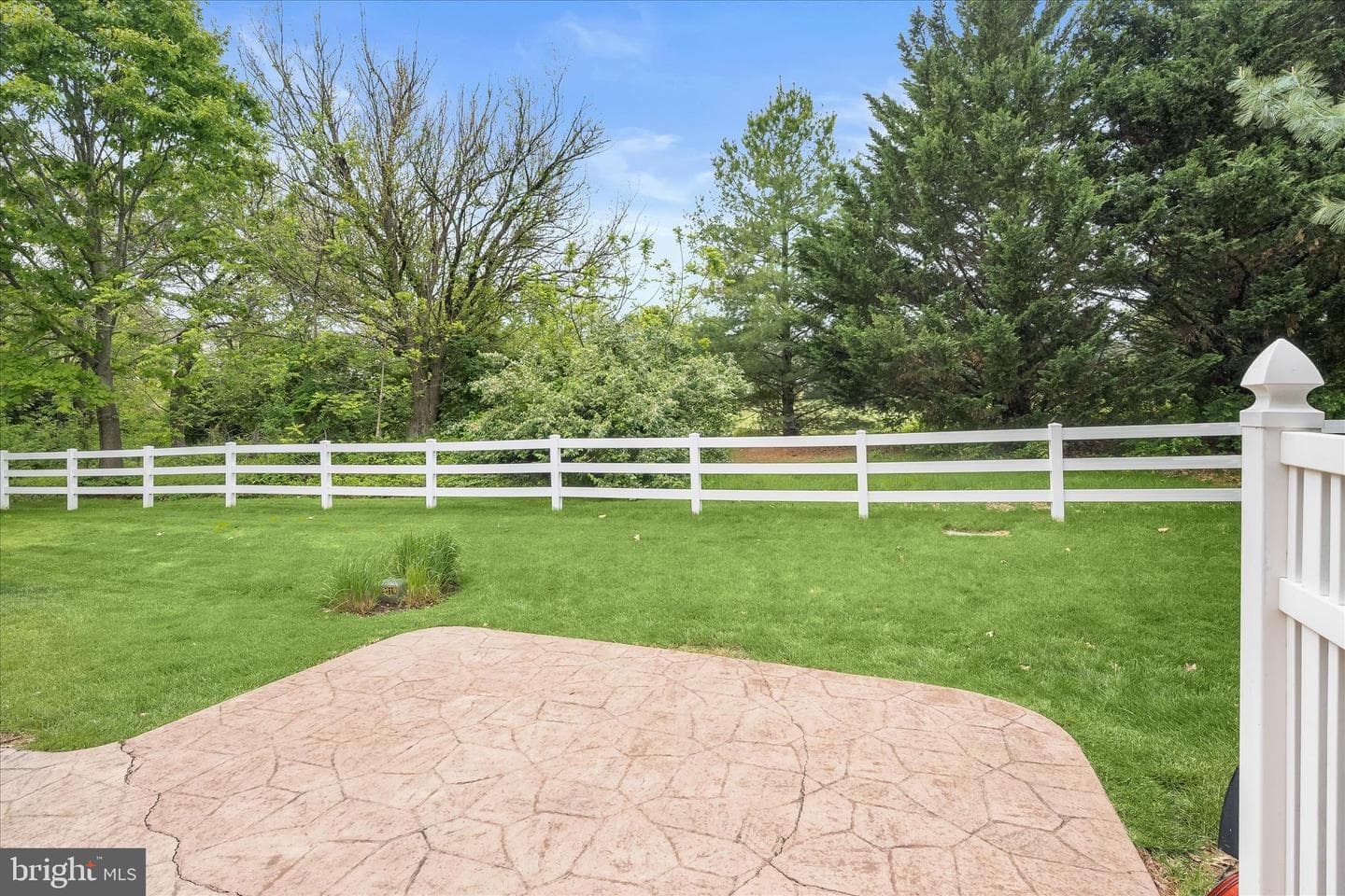 110 Stone Springs Lane photo 51