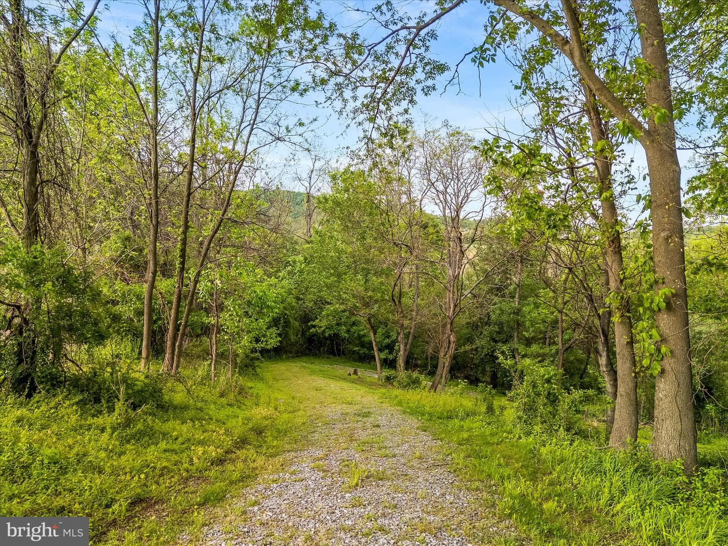 10691 Easterday Road photo 71