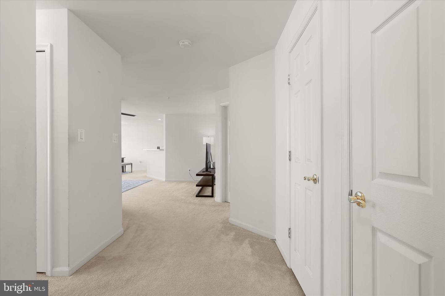 595 Cawley Drive #4 2a photo 5