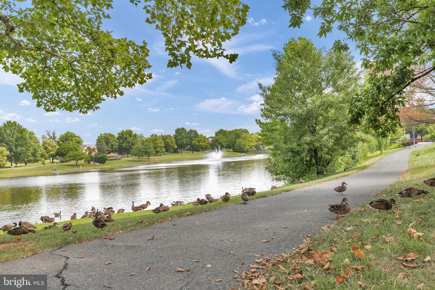 2495 Lakeside Drive photo 51