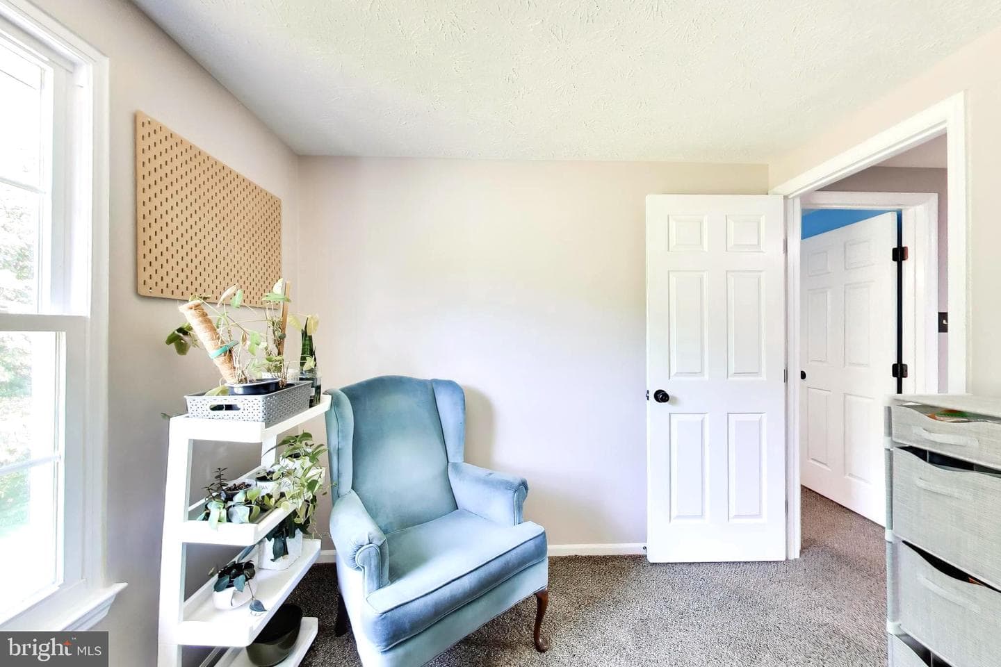 511 Hollyberry Way photo 17