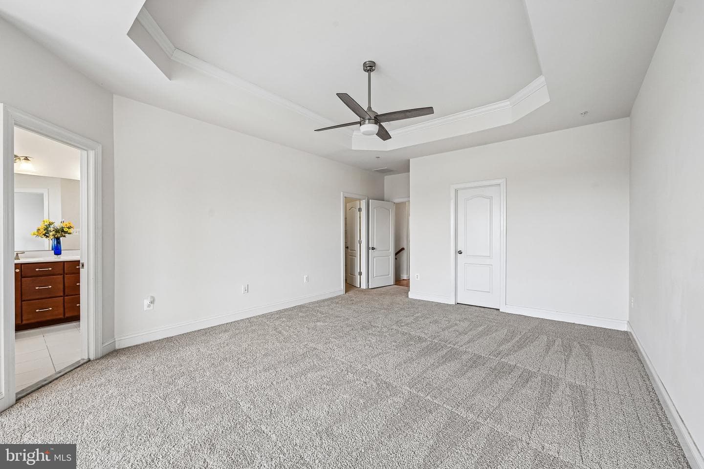 9667 Ethan Ridge Dr photo 45