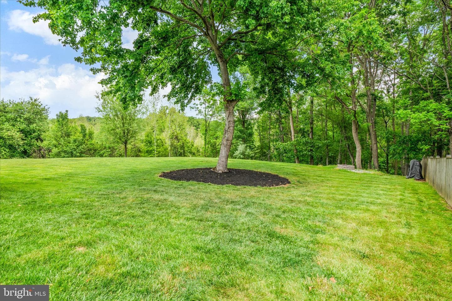 6114 Twain Drive photo 39