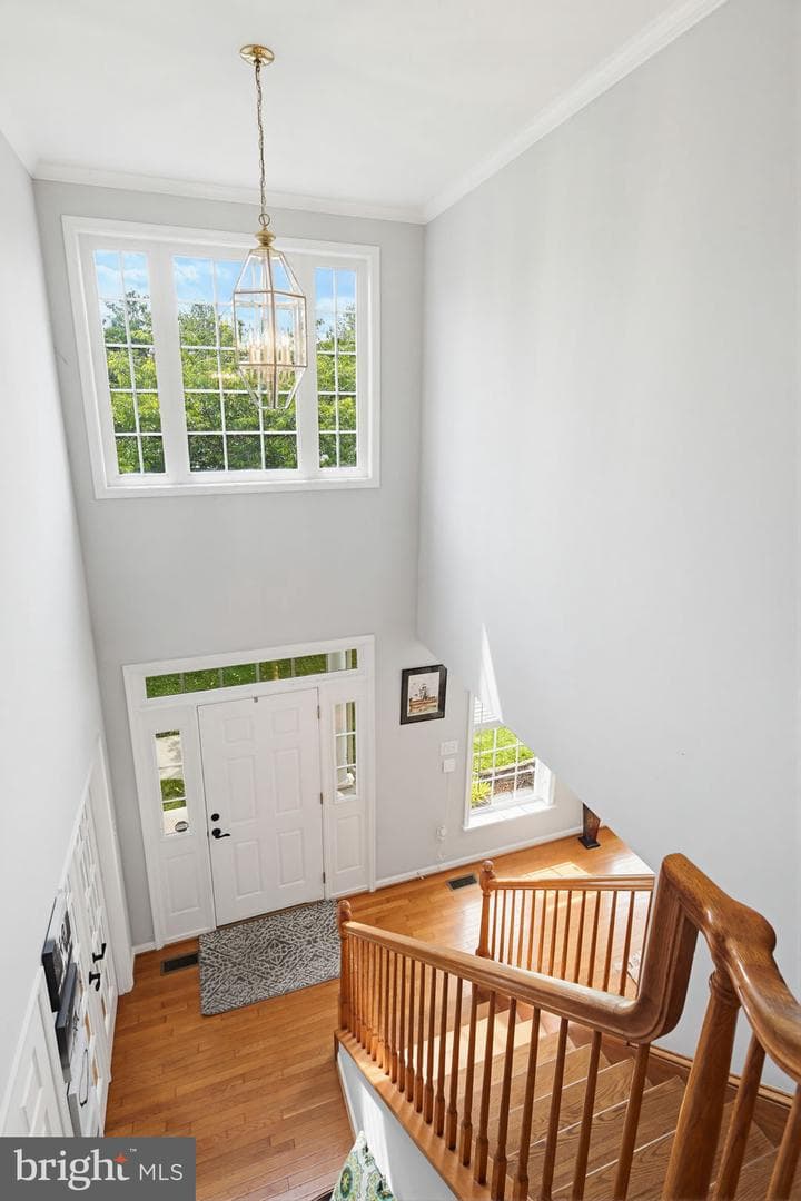 231 Cornell Drive photo 46