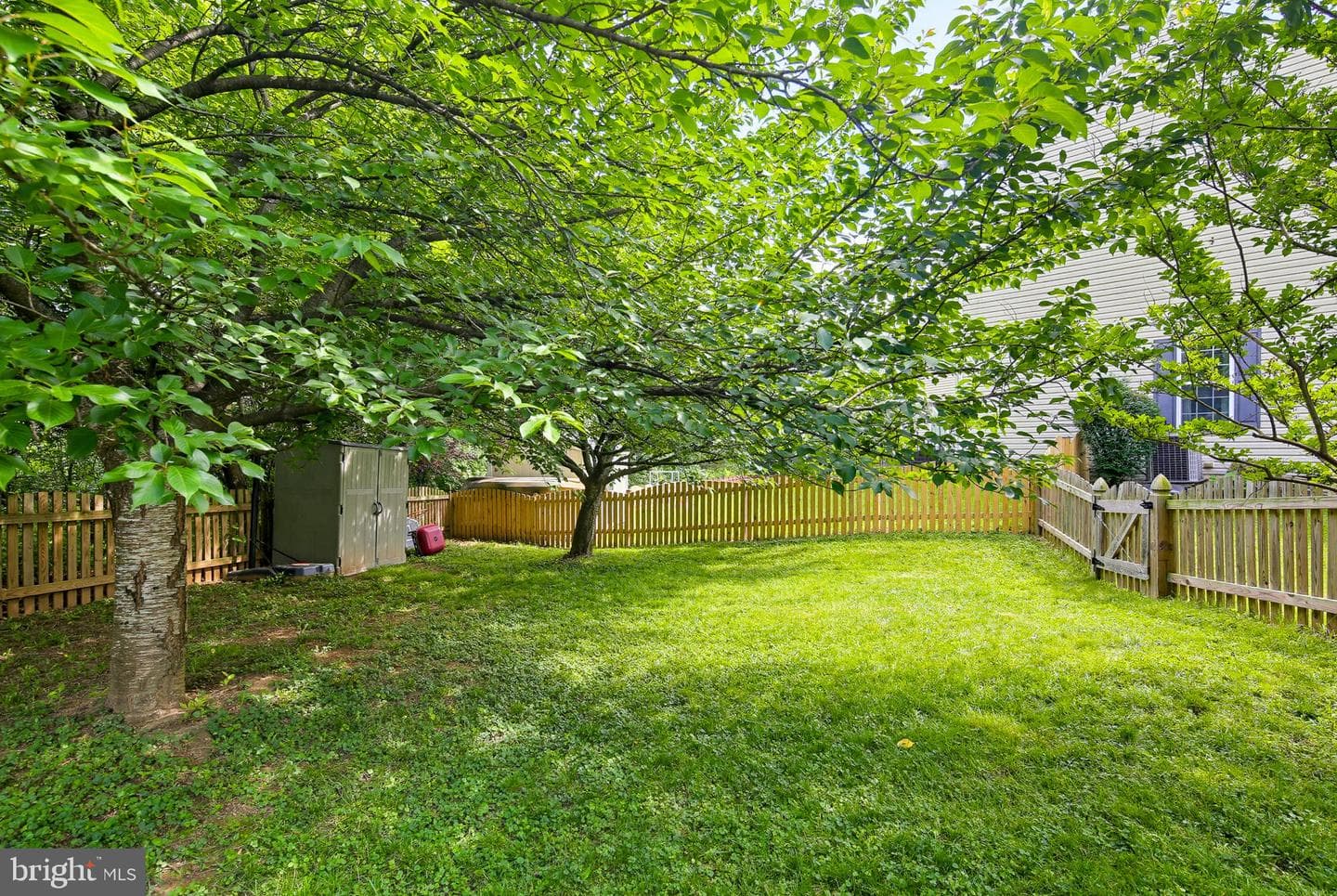 231 Cornell Drive photo 52