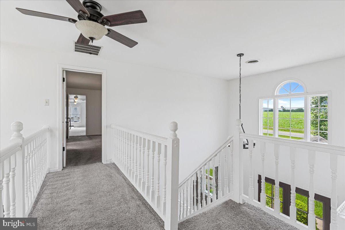 3938 Cherry Lane photo 34