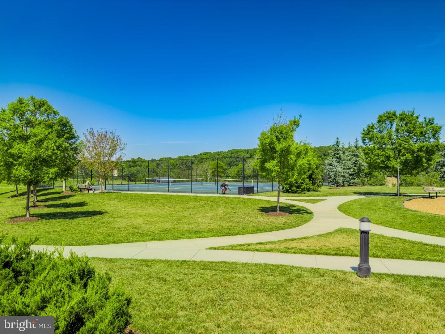 11058 Emerald Crown Drive photo 67