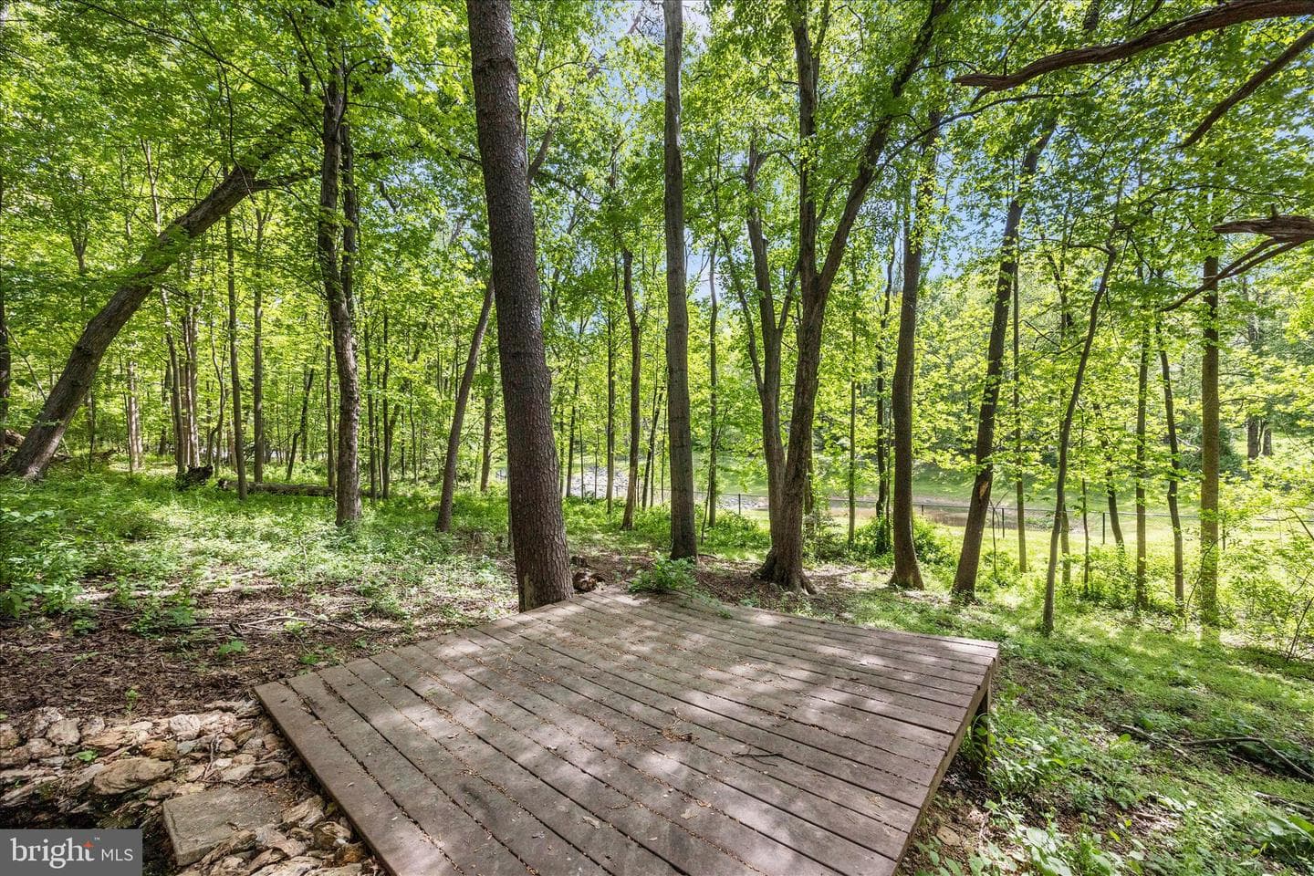 4109 Cove Court photo 53