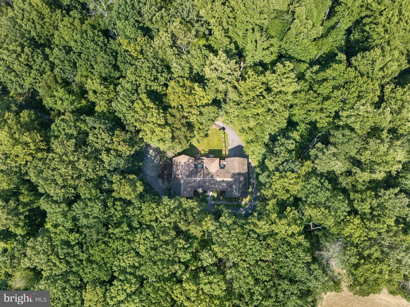 1137 Sugarloaf Mountain Road photo 81