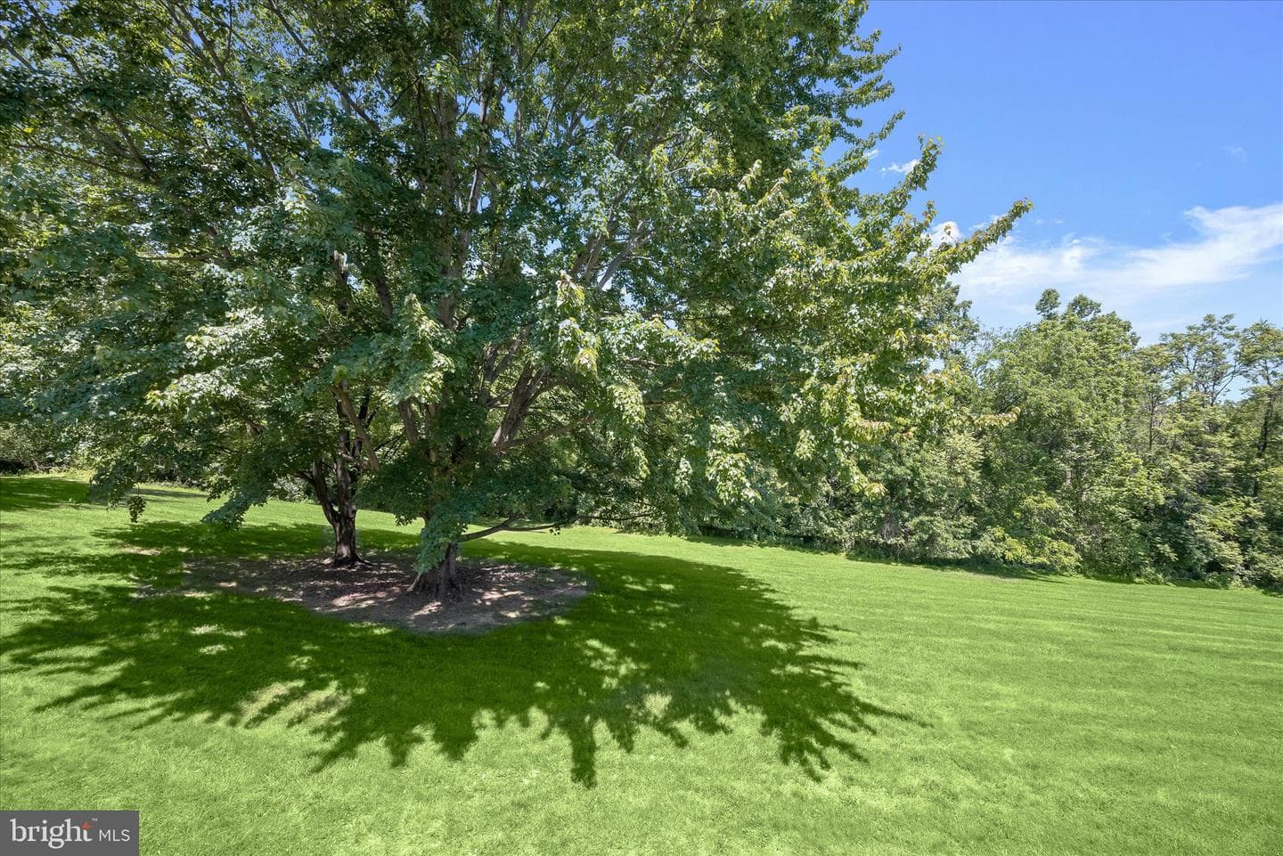 5331 Wye Creek Drive photo 47