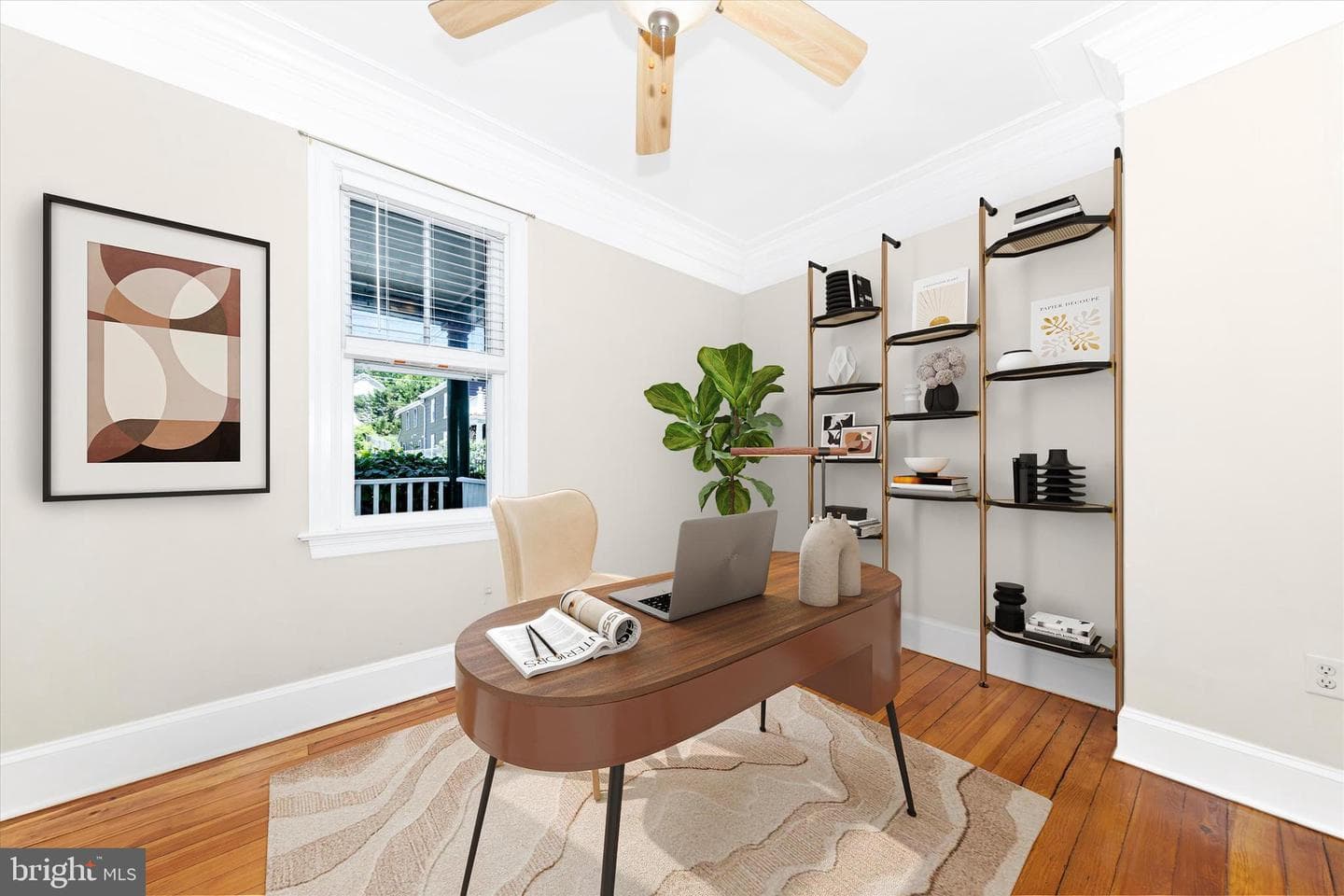 316 Brunswick St photo 6