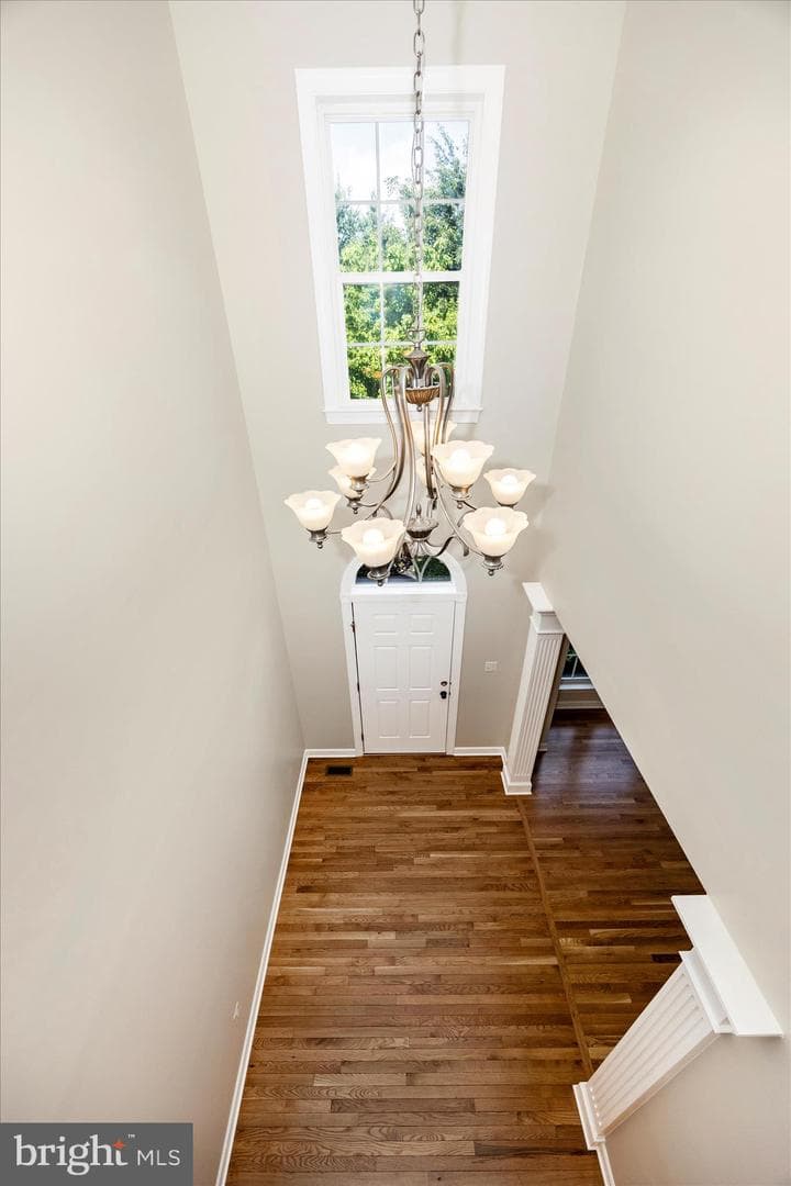9876 Notting Hill Drive photo 24