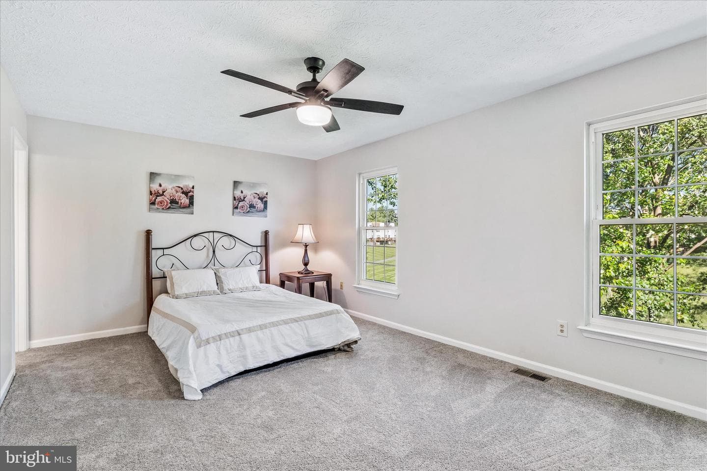 5066 Merganser Court photo 9