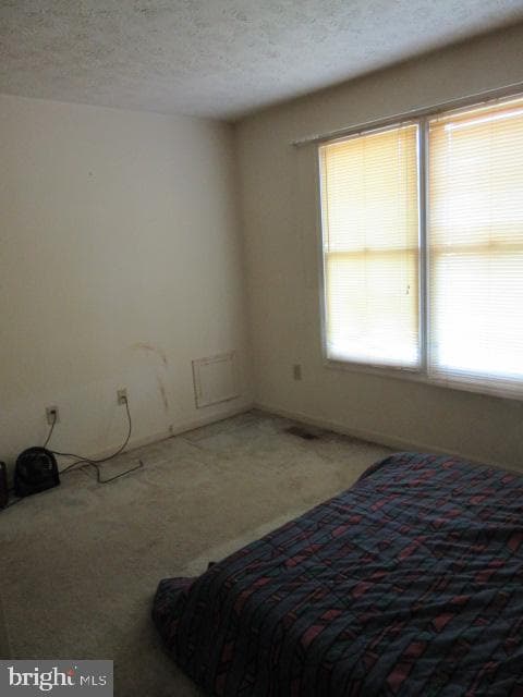 2162 Collingwood Lane photo 12