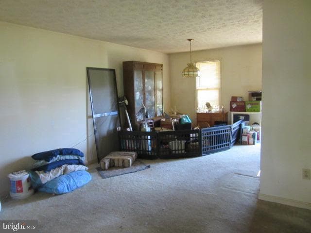 2162 Collingwood Lane photo 7