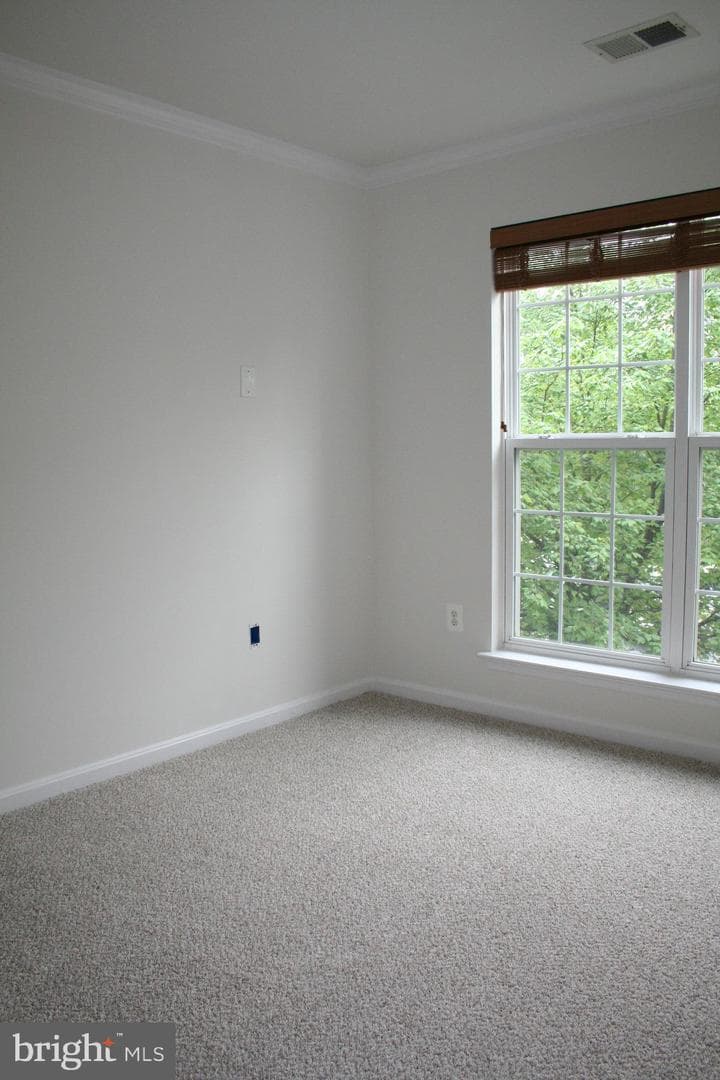 113 Whiskey Creek Circle photo 12