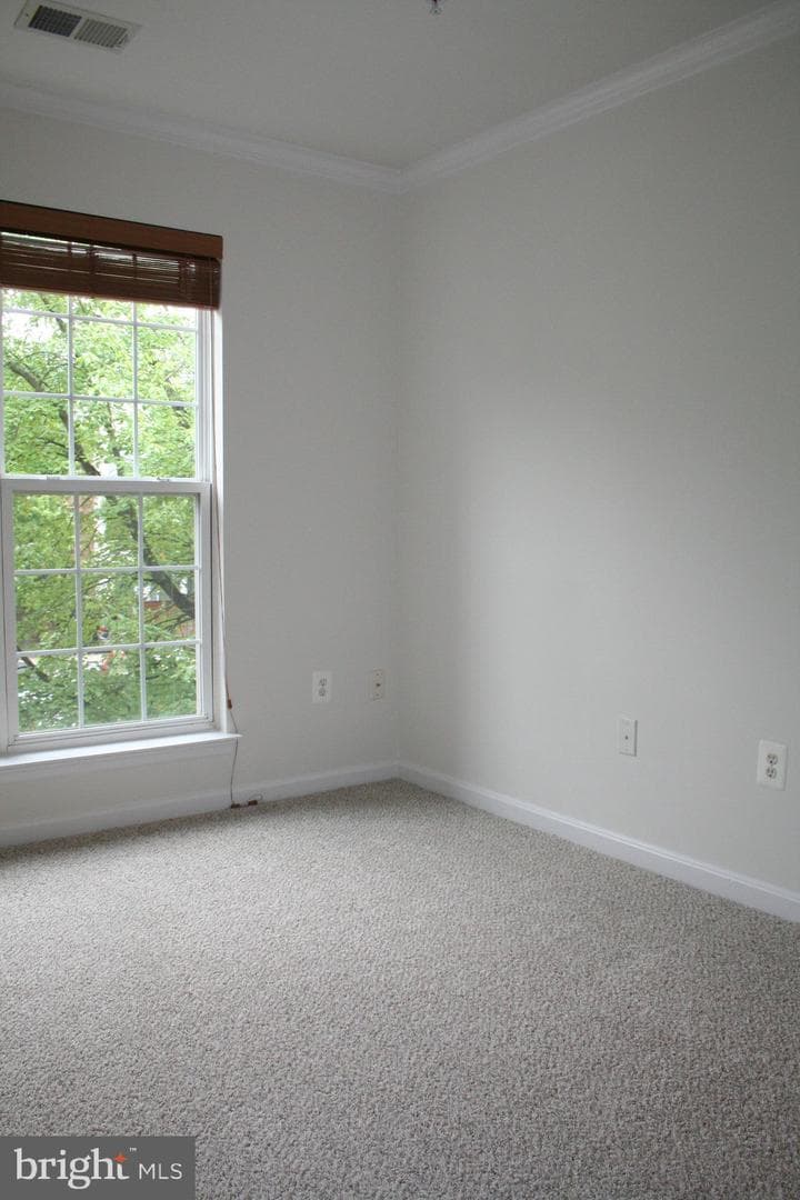 113 Whiskey Creek Circle photo 15