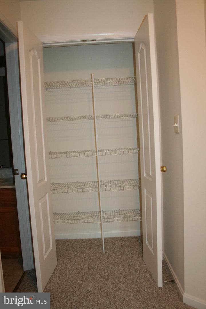 113 Whiskey Creek Circle photo 18