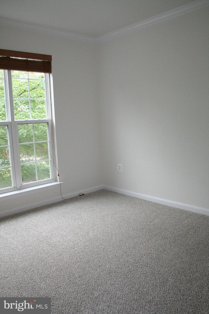 113 Whiskey Creek Circle photo 21
