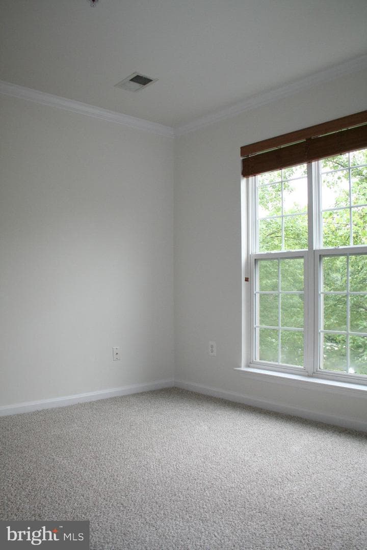 113 Whiskey Creek Circle photo 24