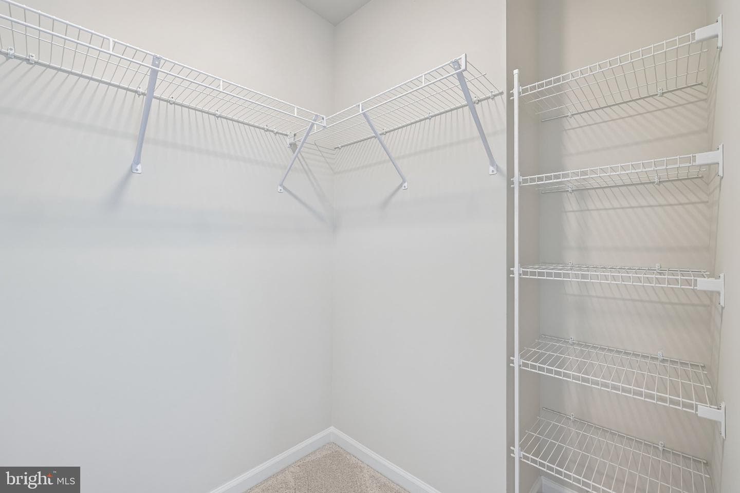 1100 Reagans Road photo 39