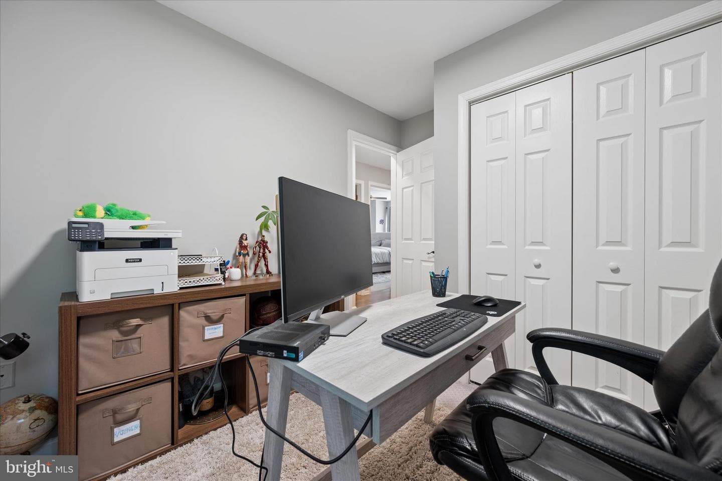 6866 Whistling Swan Way photo 38