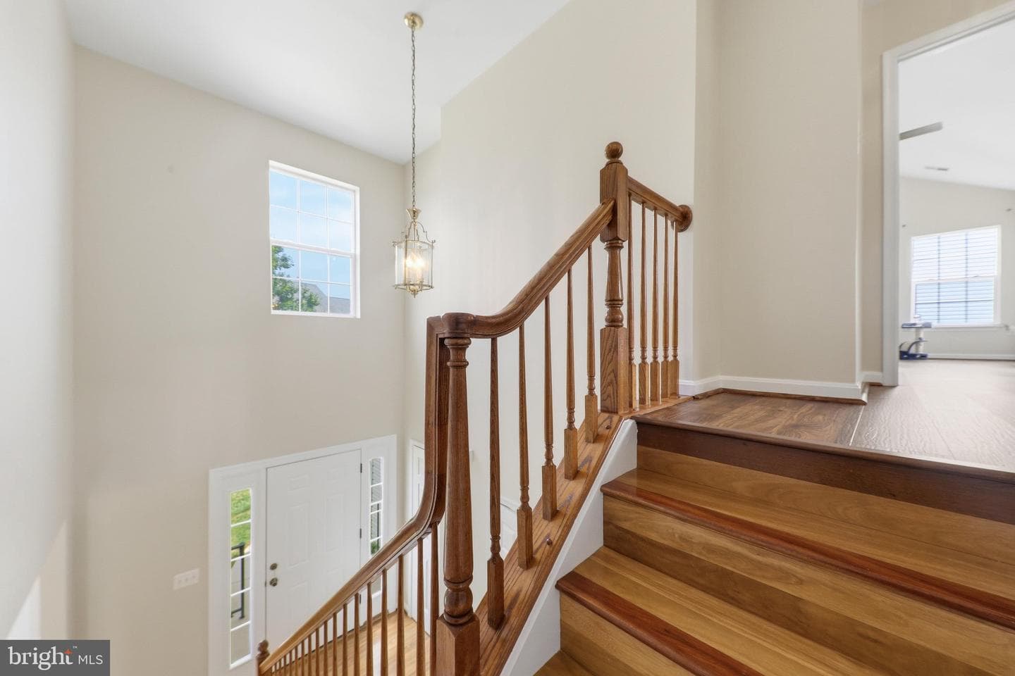 612 Bushytail Drive photo 23