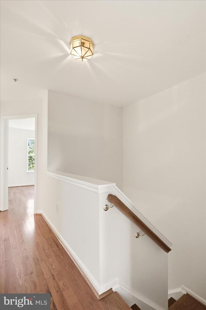 114 Lavenport Circle photo 35