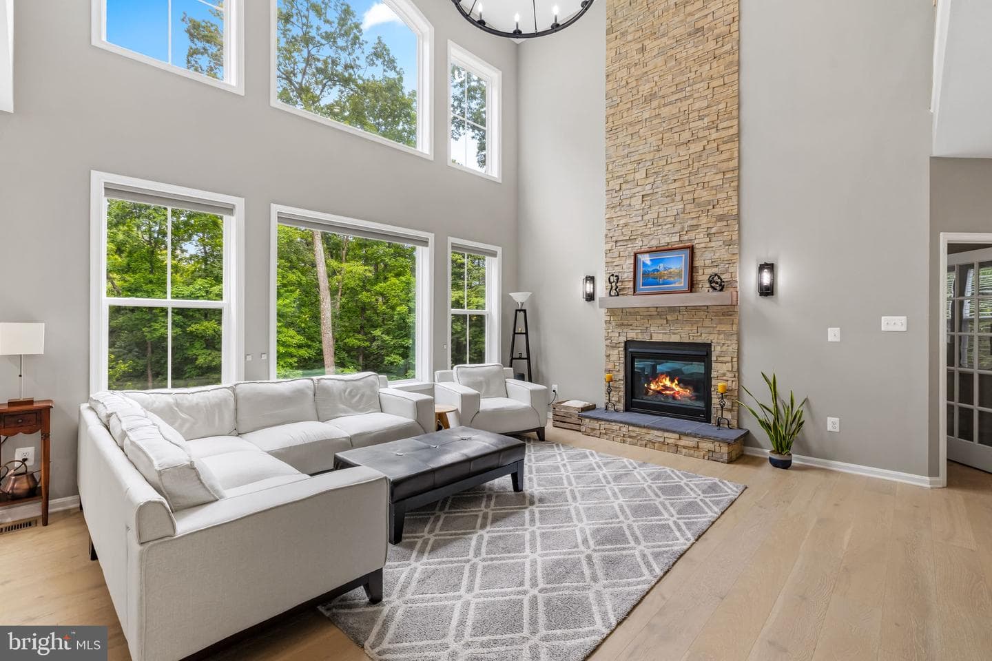 14536 Black Ankle Road photo 4