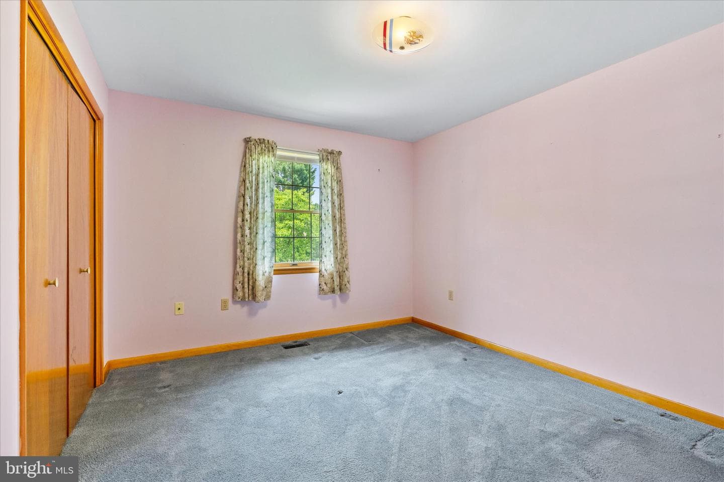 12 Caroline Drive photo 35