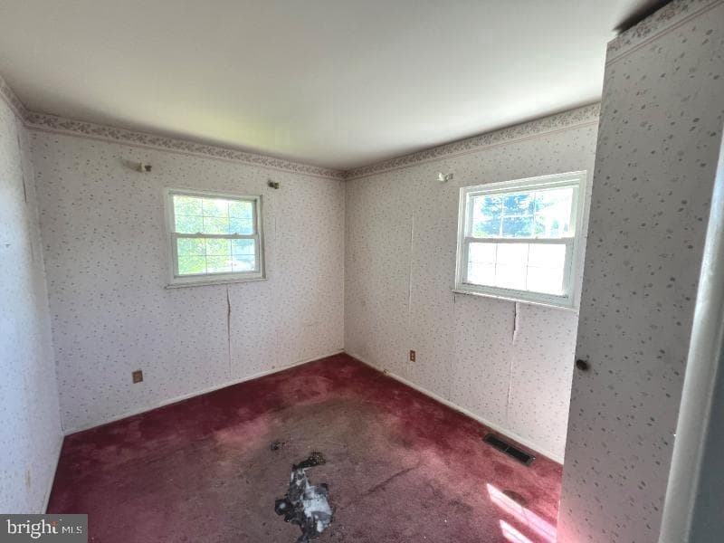 379 Pearl Street photo 11