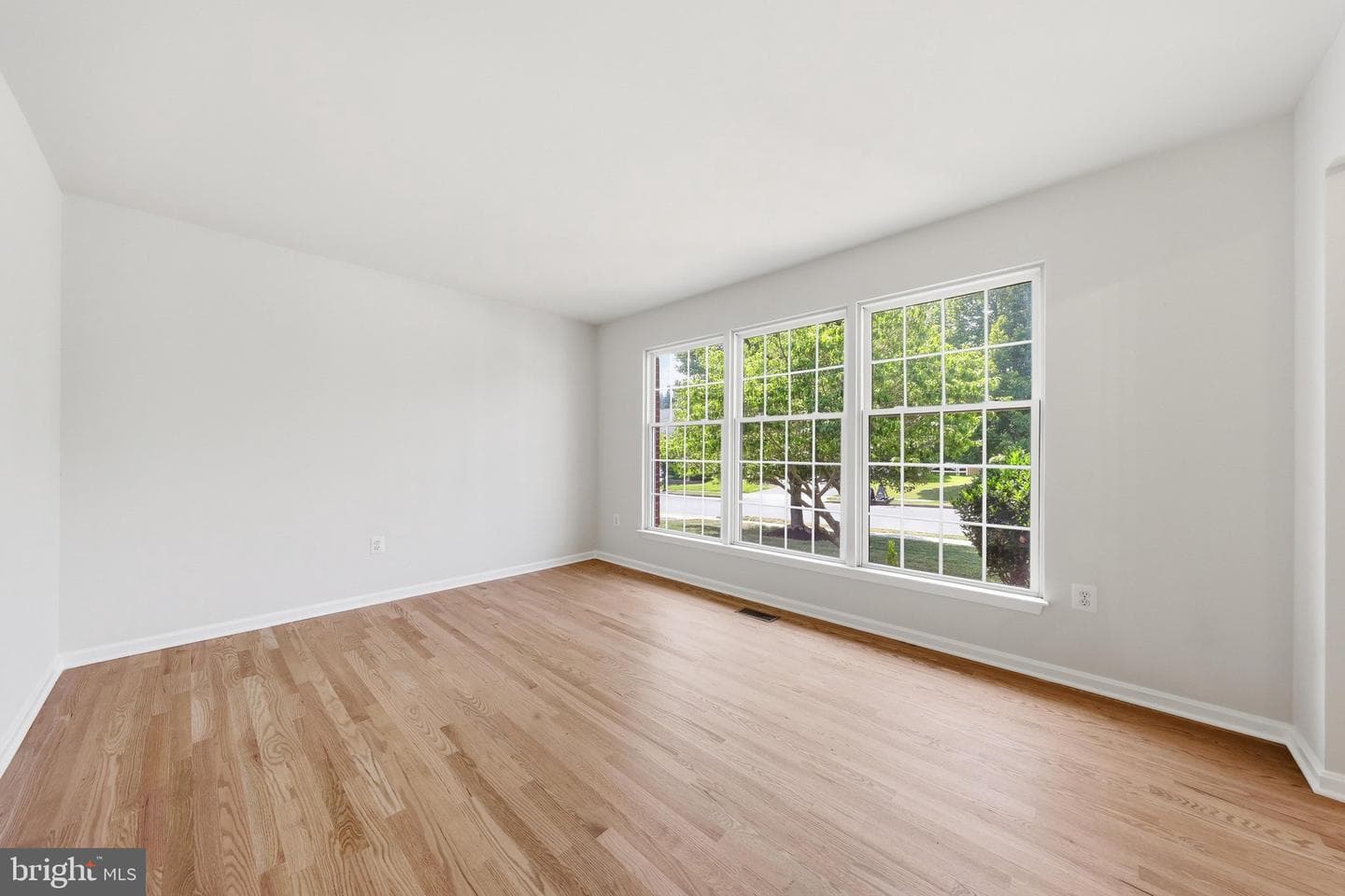 169 Midsummer Drive photo 6