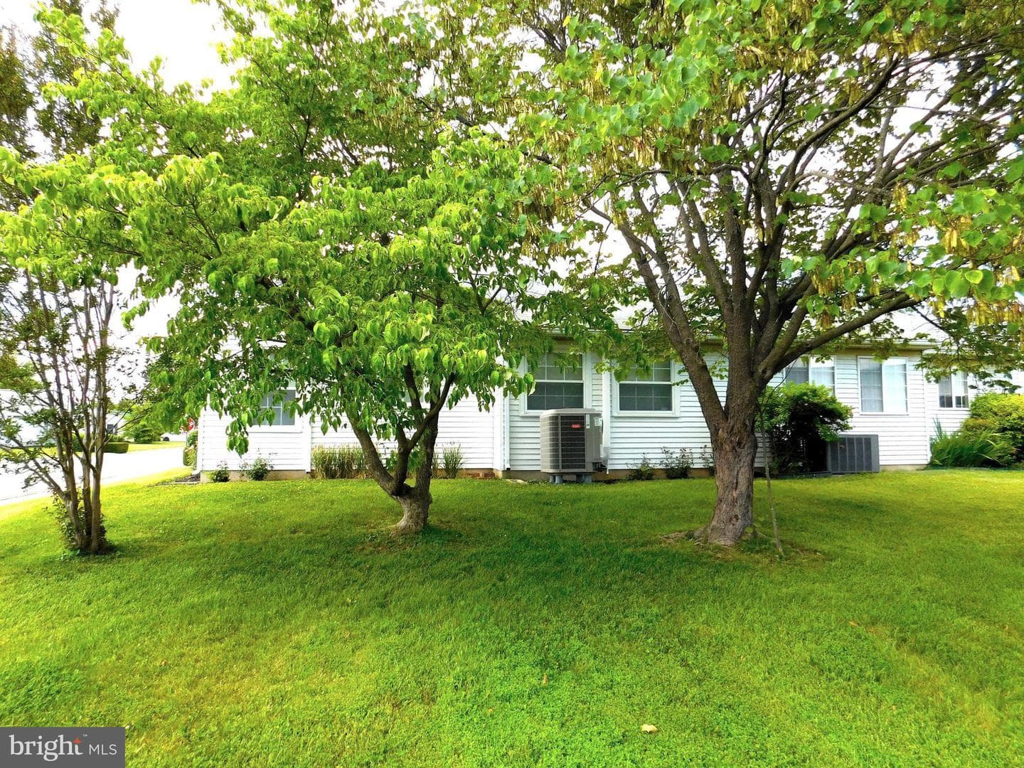 6979 Arbor Drive photo 4