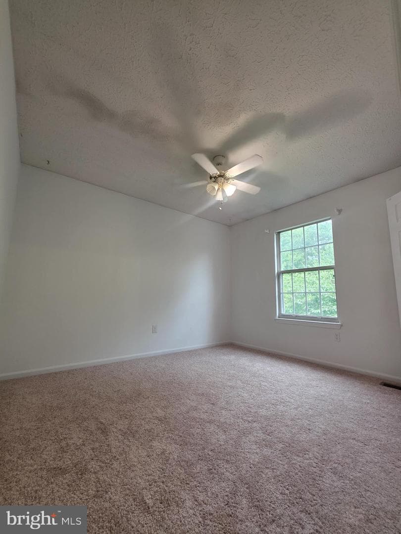 516 Sage Hen Way photo 10