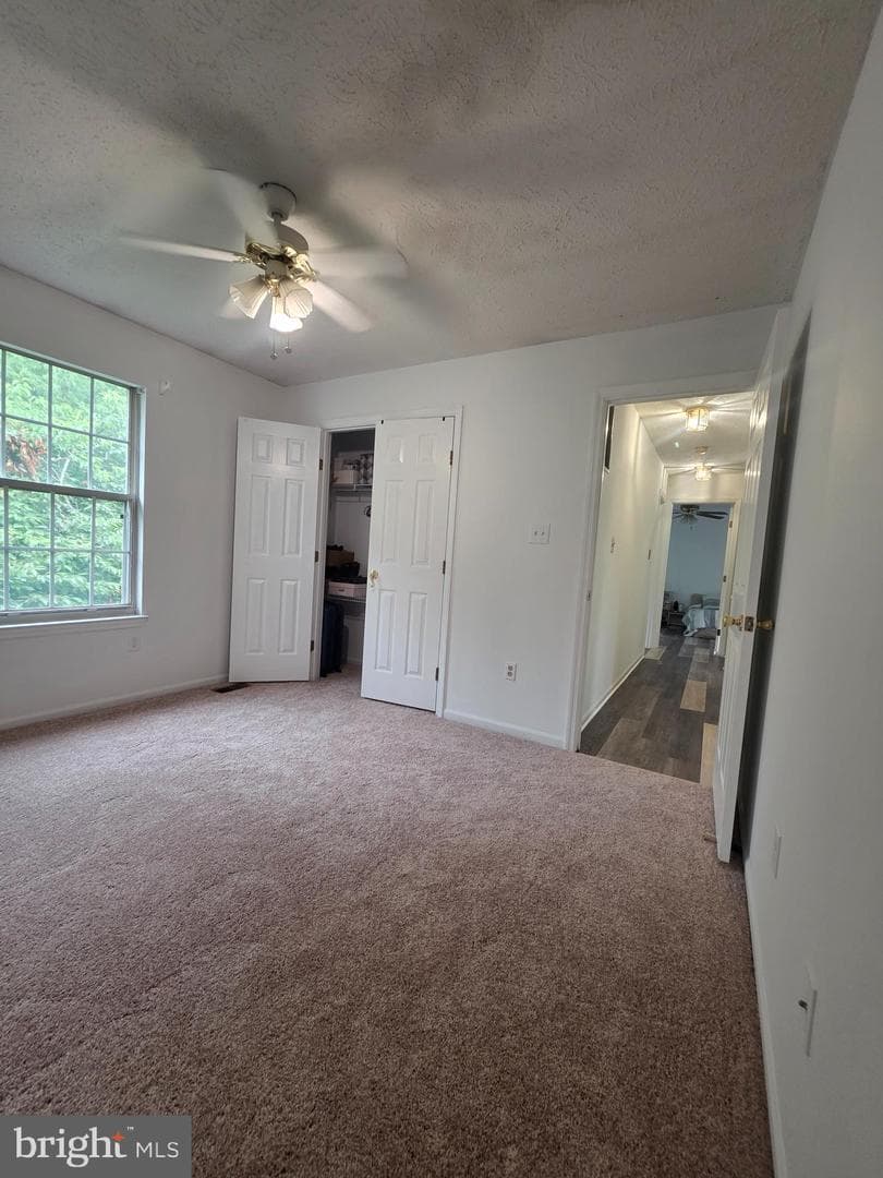 516 Sage Hen Way photo 19