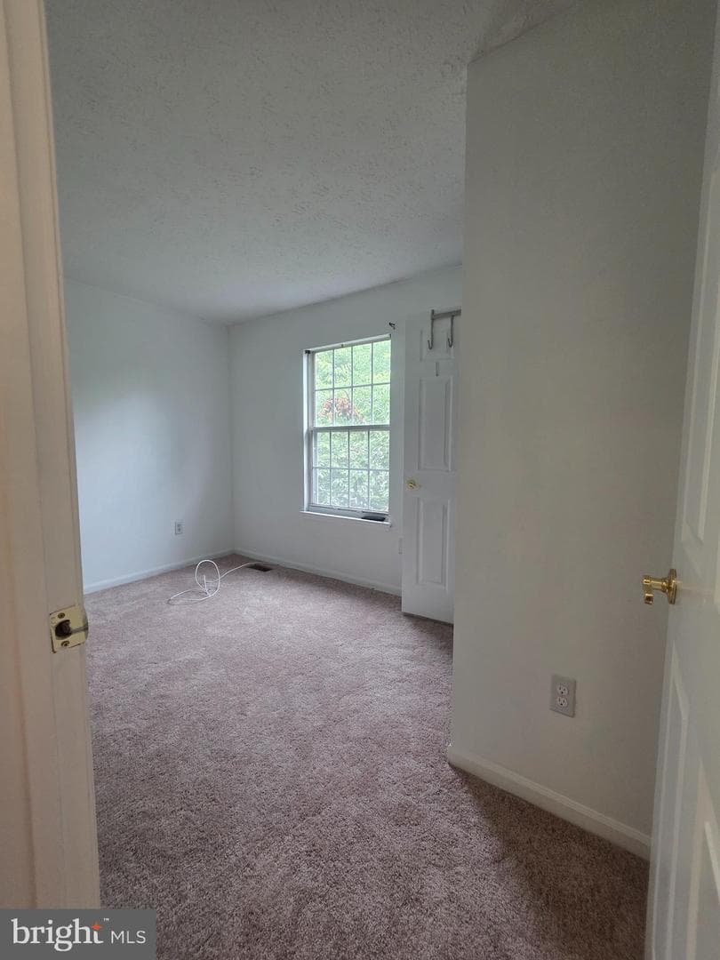 516 Sage Hen Way photo 8