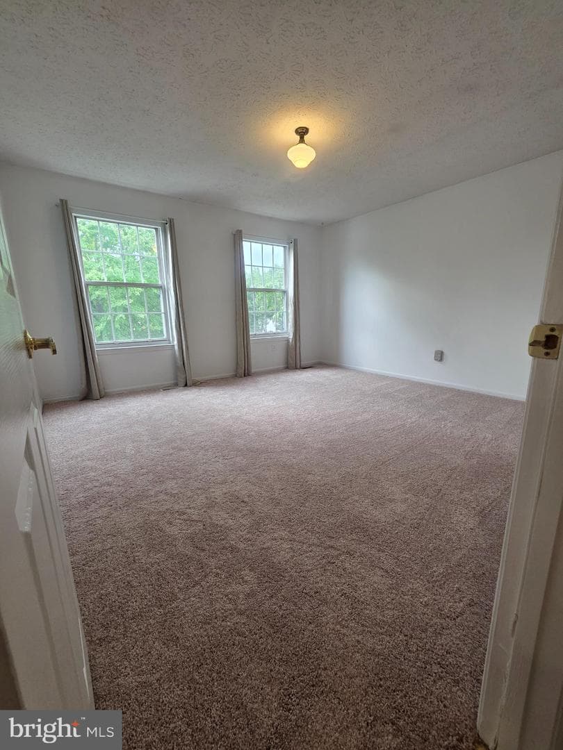 516 Sage Hen Way photo 9