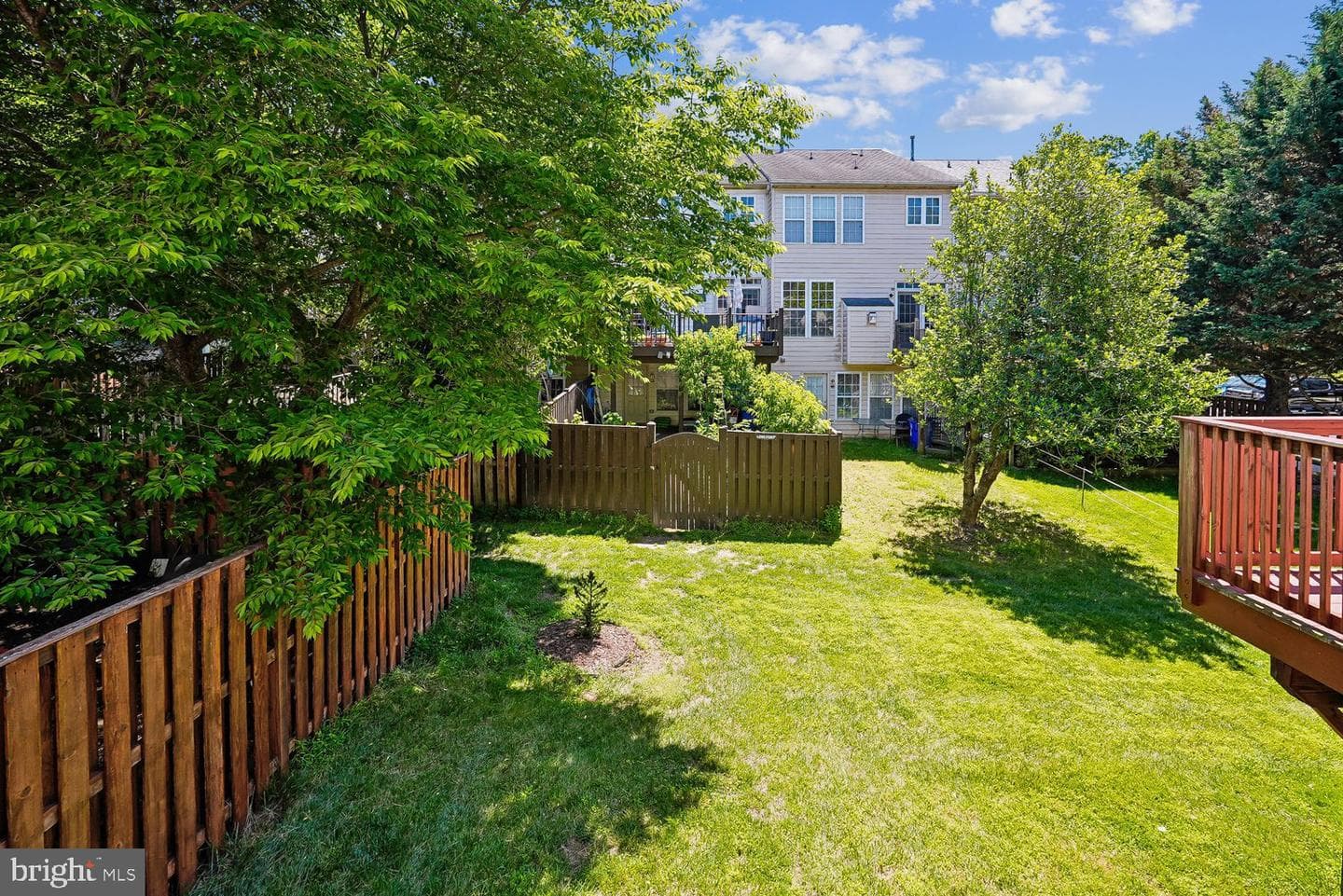 3626 Singleton Terrace photo 4