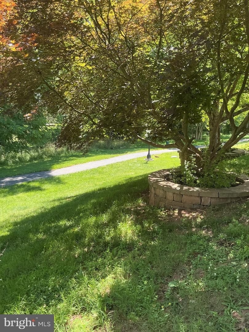 523 Ellison Court photo 63