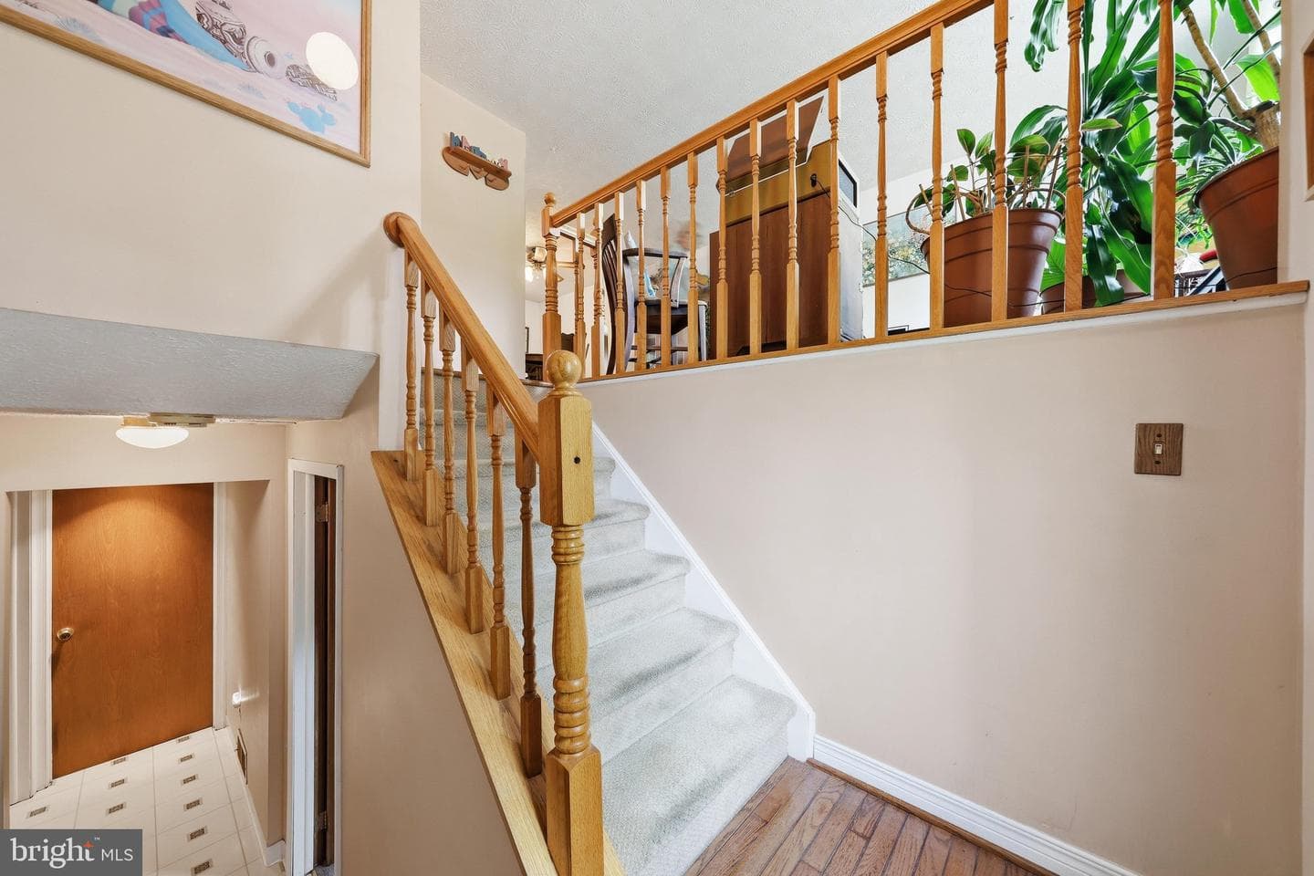 1595 Elmwood Court photo 3
