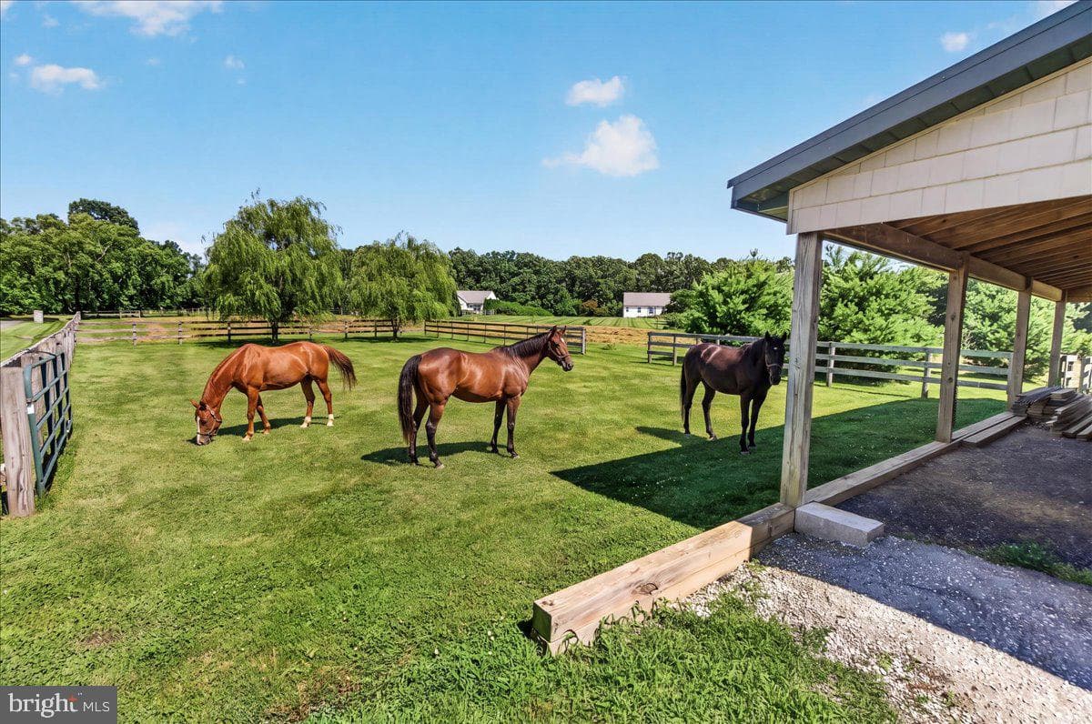3160 Sumantown Road photo 109
