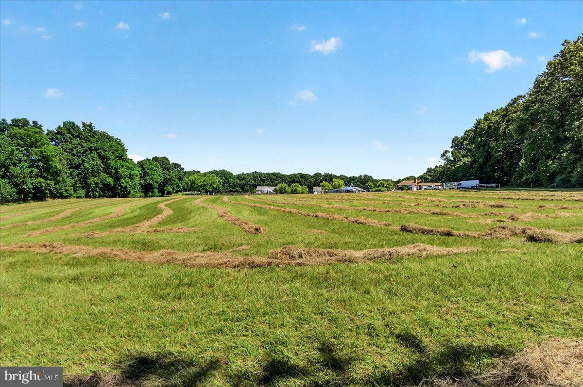 3160 Sumantown Road photo 112