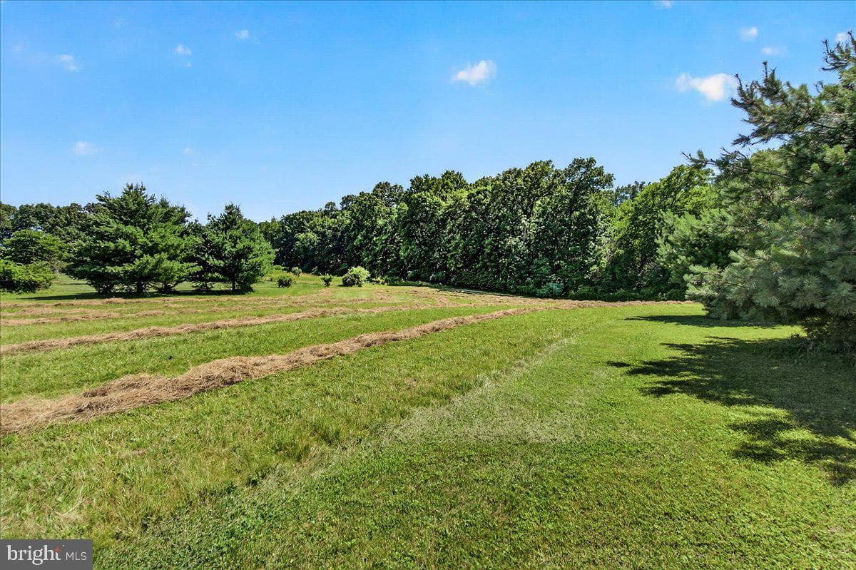 3160 Sumantown Road photo 122
