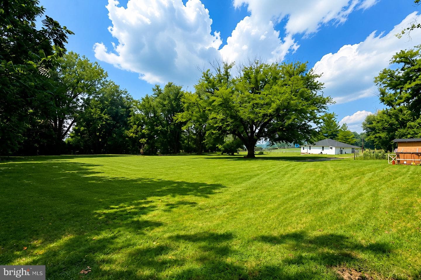 9001 Hollow Road photo 33