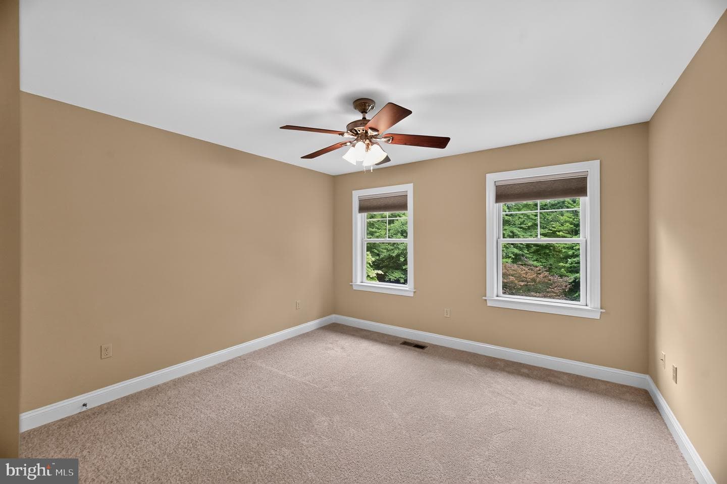 8711 Chestnut Grove Road photo 18